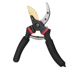 Pruning Shear